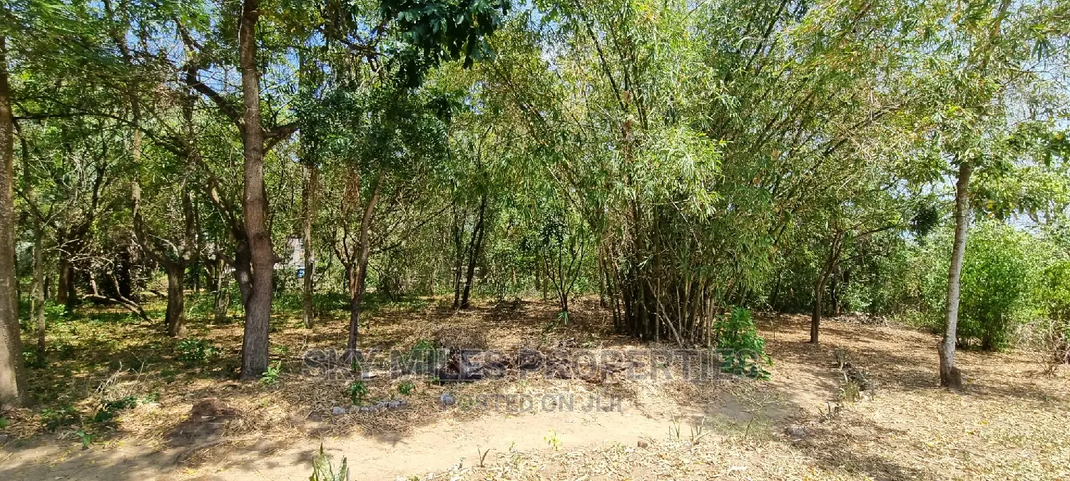 1/2 Acre Land Creekside Beach on Sale at Mtwapa