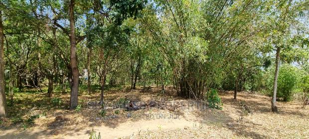 1/2 Acre Land Creekside Beach on Sale at Mtwapa - thumbnail 7