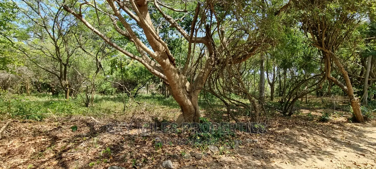 1/2 Acre Land Creekside Beach on Sale at Mtwapa