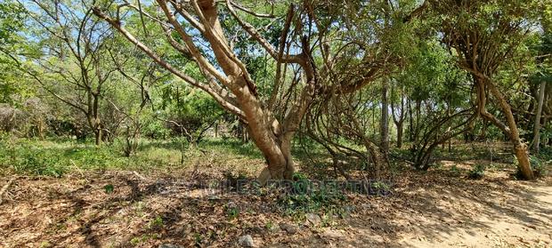 1/2 Acre Land Creekside Beach on Sale at Mtwapa - thumbnail 5