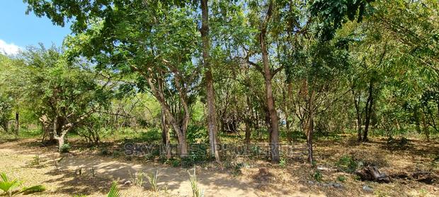 1/2 Acre Land Creekside Beach on Sale at Mtwapa - thumbnail 8