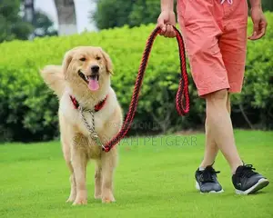 Braided Urban Dog Leash and Dog Collar