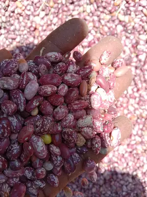 Beans On Sale ( Wairimu,Saitoti, Nyayo And Rose Coco)