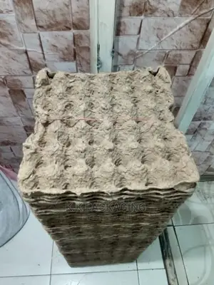 Fibre Trays