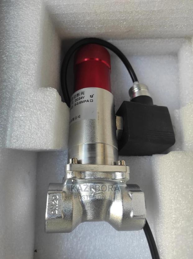LPG Gas Safety Shut Off Valve