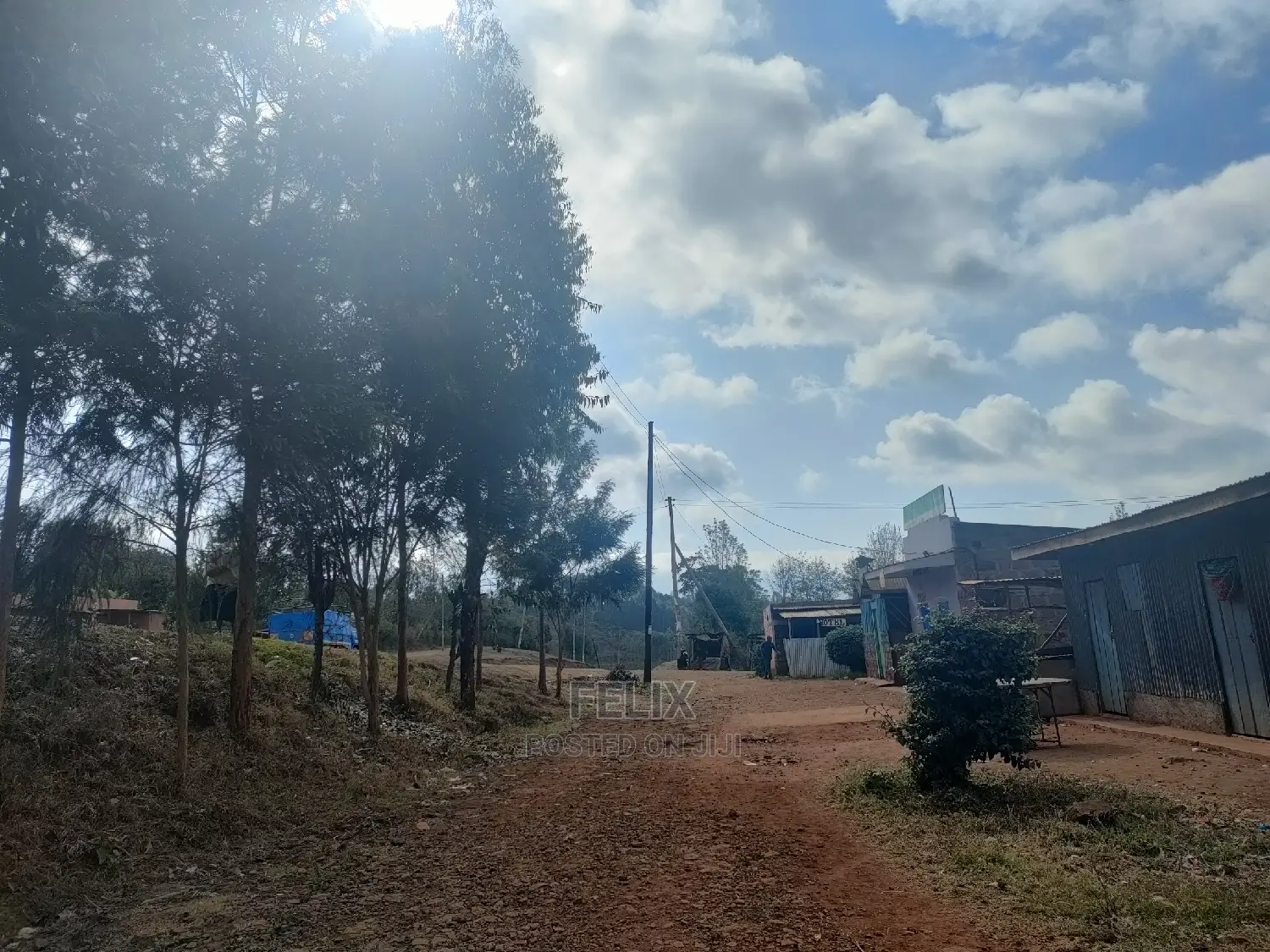 Nyeri Marua/Kahiga 50/100 Plot