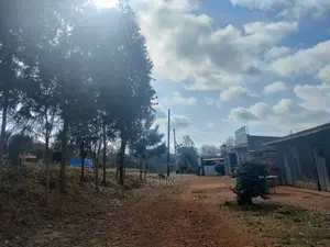 Nyeri Marua/Kahiga 50/100 Plot