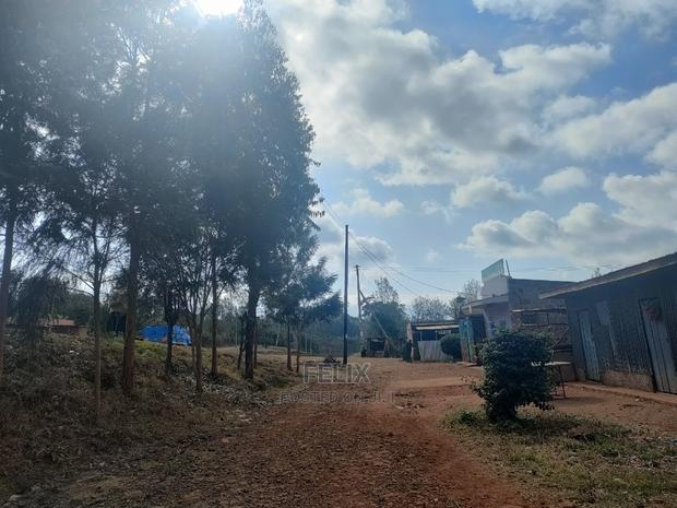 Nyeri Marua/Kahiga 50/100 Plot