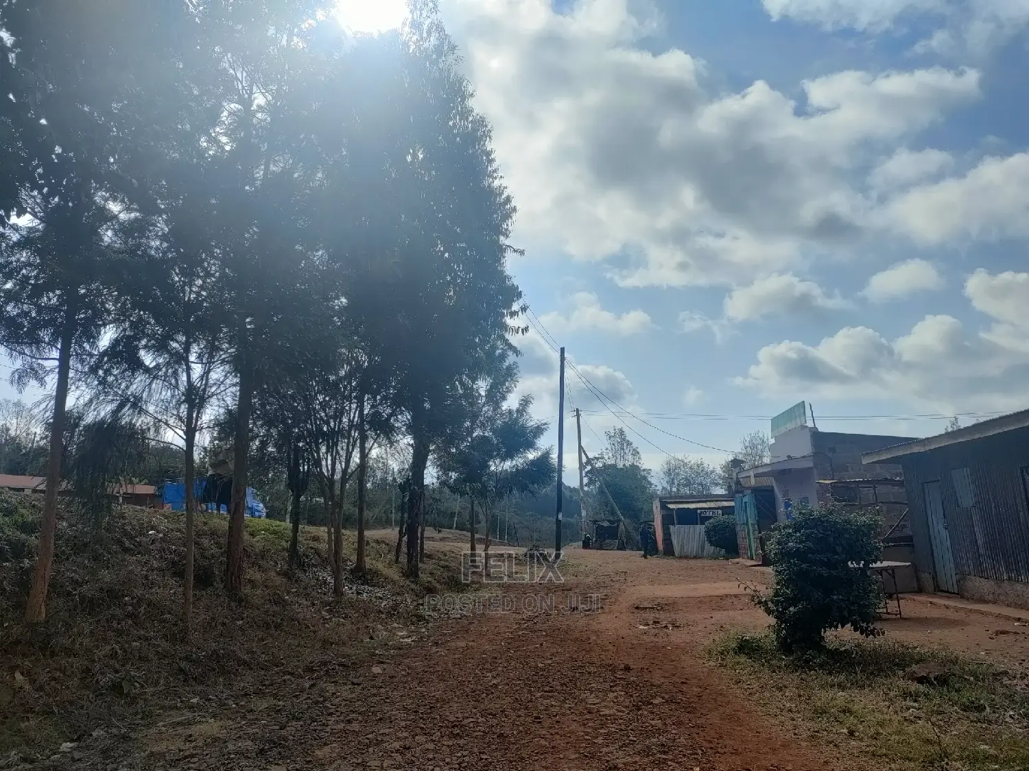 Nyeri Marua/Kahiga 50/100 Plot