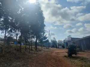 Nyeri Marua/Kahiga 50/100 Plot