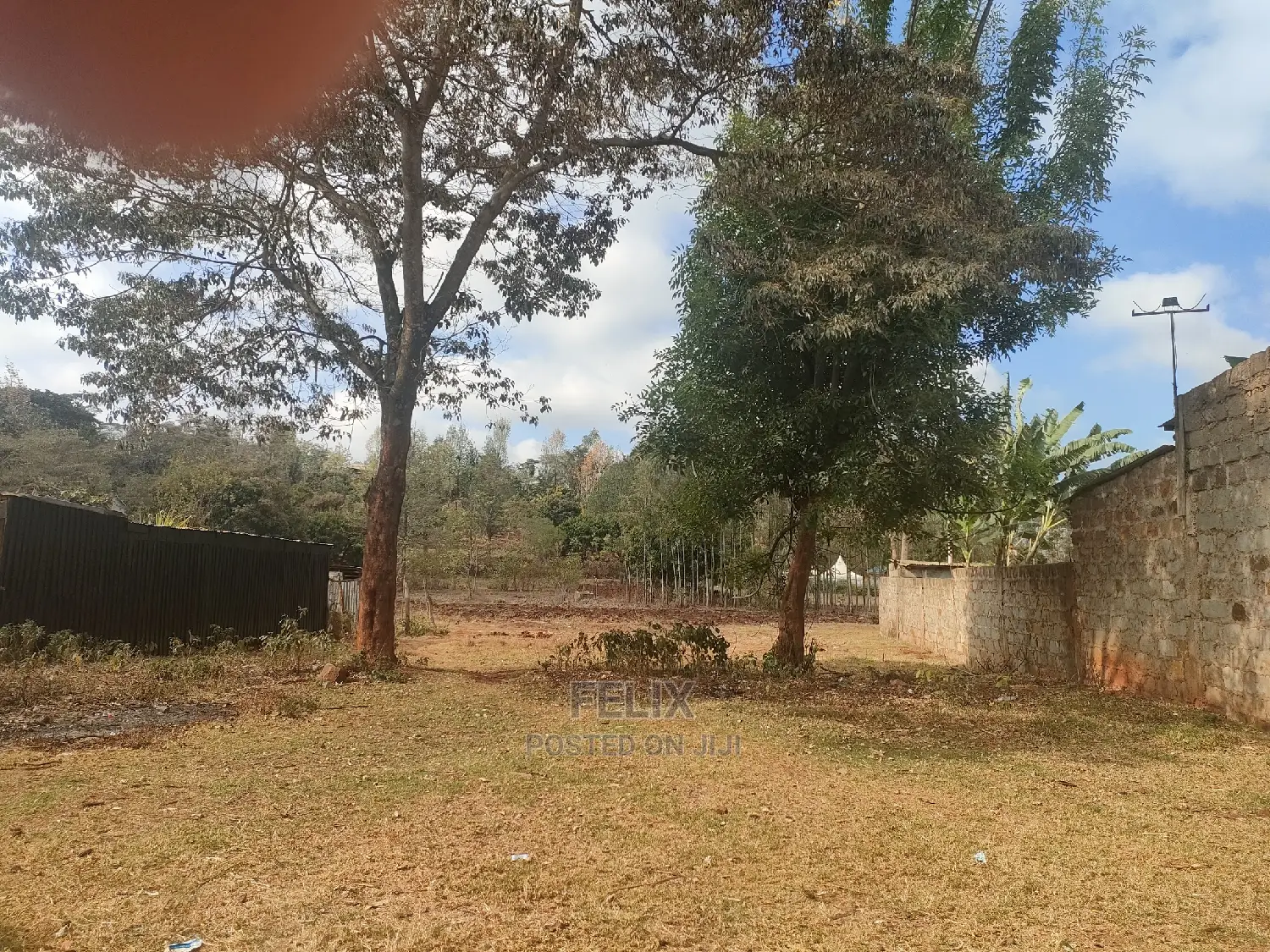 Nyeri Marua/Kahiga 50/100 Plot