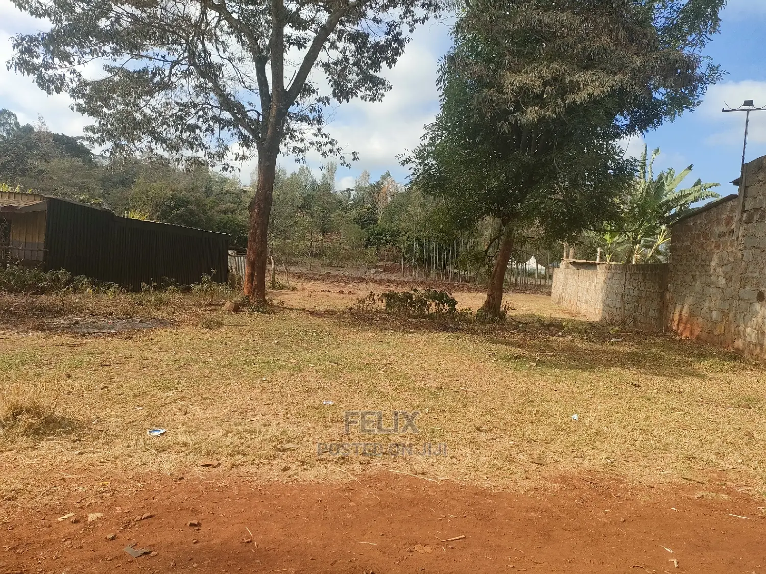 Nyeri Marua/Kahiga 50/100 Plot