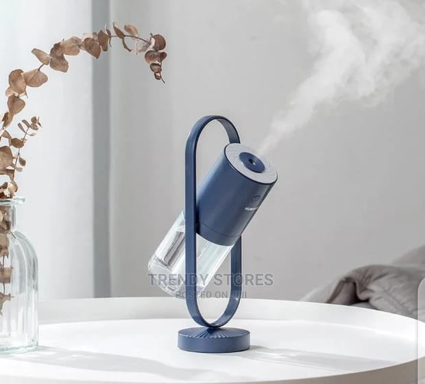 Two Spray Modes Humidifier - main view