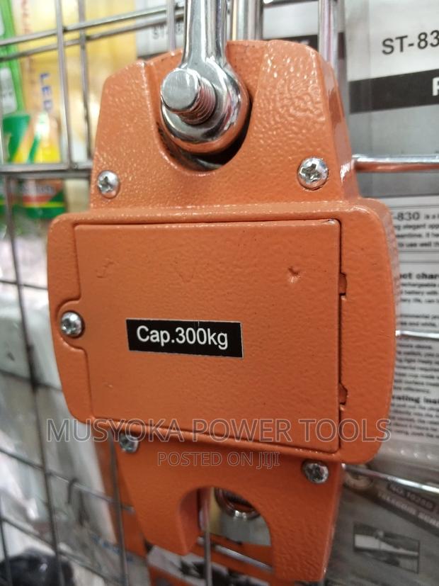 300kg Digital Hanging Mini Crane Weighing Scale