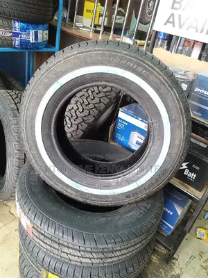 195R15C Petromax
