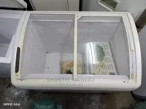 Display Chest Freezer