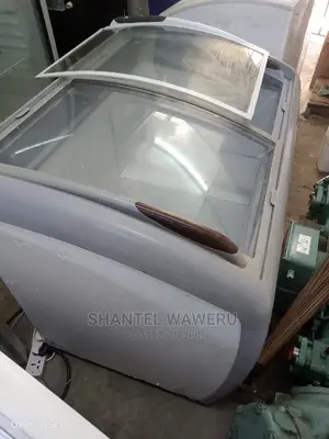 Display Chest Freezer