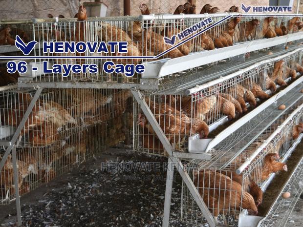 96 Hens Layers Cage