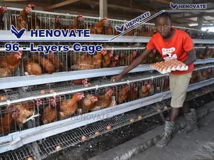 96 Hens Layers Cage