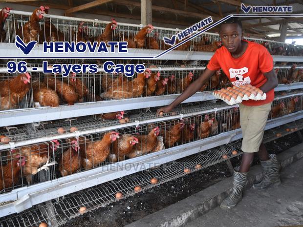 96 Hens Layers Cage - thumbnail 4
