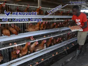 96 Hens Layers Cage