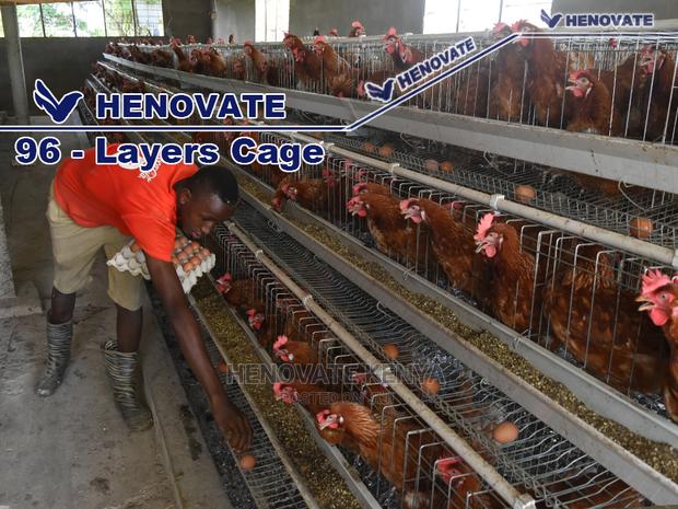 96 Hens Layers Cage - thumbnail 6
