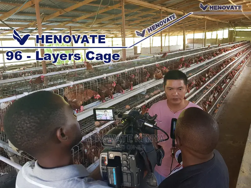 Chicken Layers Cage for 96 Birds