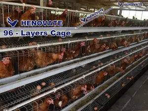 Chicken Layers Cage for 96 Birds