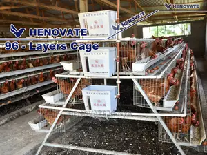 Chicken Layers Cage for 96 Birds