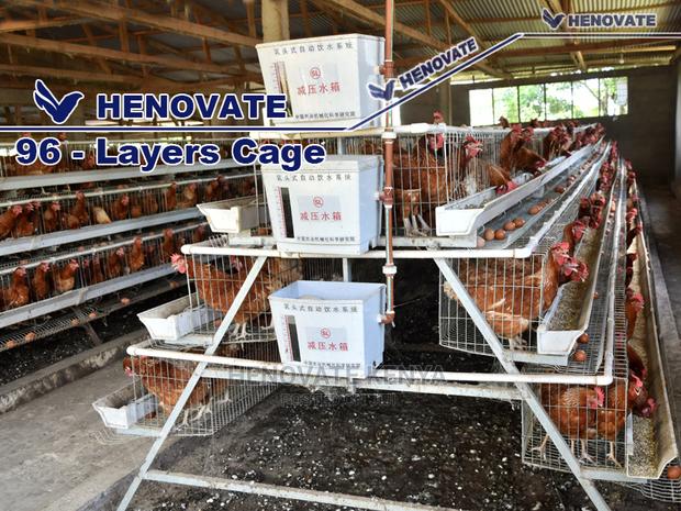 Chicken Layers Cage for 96 Birds - thumbnail 4
