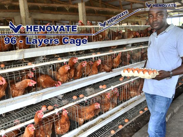 High-Quality Chicken Cages - thumbnail 5