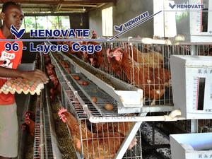 High-Quality Chicken Cages - thumbnail 2
