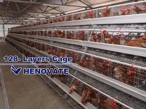 128 Birds Chicken Layers Cage