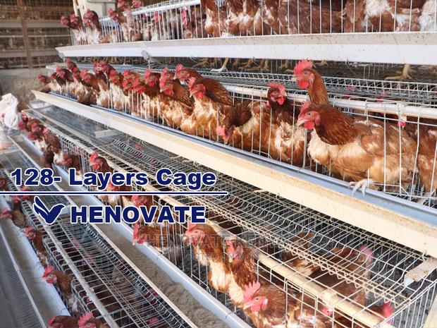 Chicken Layers Cage for 128 Birds - thumbnail 3