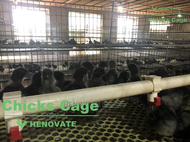 Chicks Cage - thumbnail 2