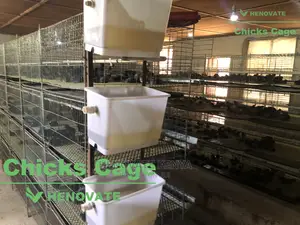 Chicks Cage