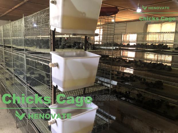 Chicks Cage - thumbnail 3