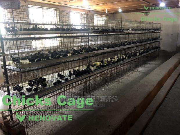 Chicks Cage - thumbnail 4
