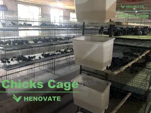 Chicks Cage