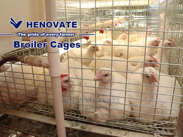 Kuroiler/Broiler Chicken Cage