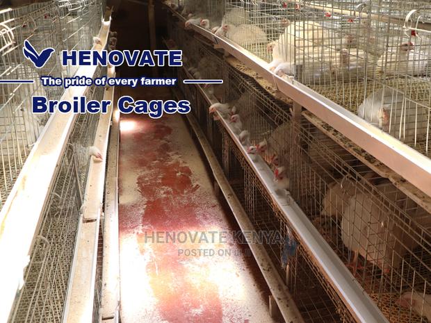Kuroiler/Broiler Chicken Cage - thumbnail 3