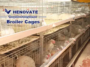 Kuroiler/Broiler Chicken Cage