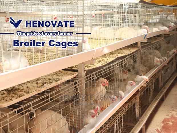 Kuroiler/Broiler Chicken Cage - thumbnail 4