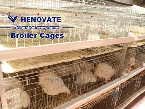 Kuroiler/Broiler Chicken Cage
