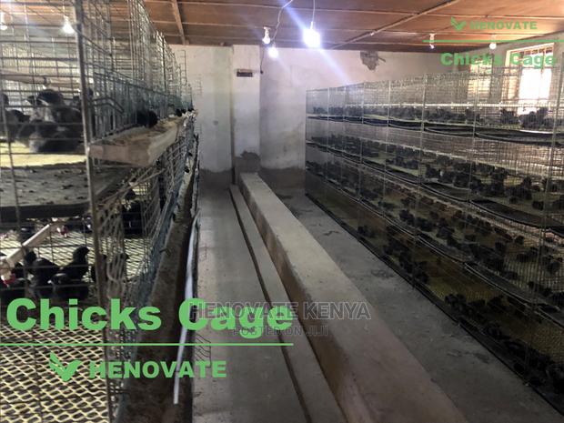 Chicks Cage From One Day Chicks - thumbnail 3