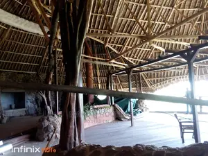 Makuti Roofing Experts, Unique Shades and Professional Roof