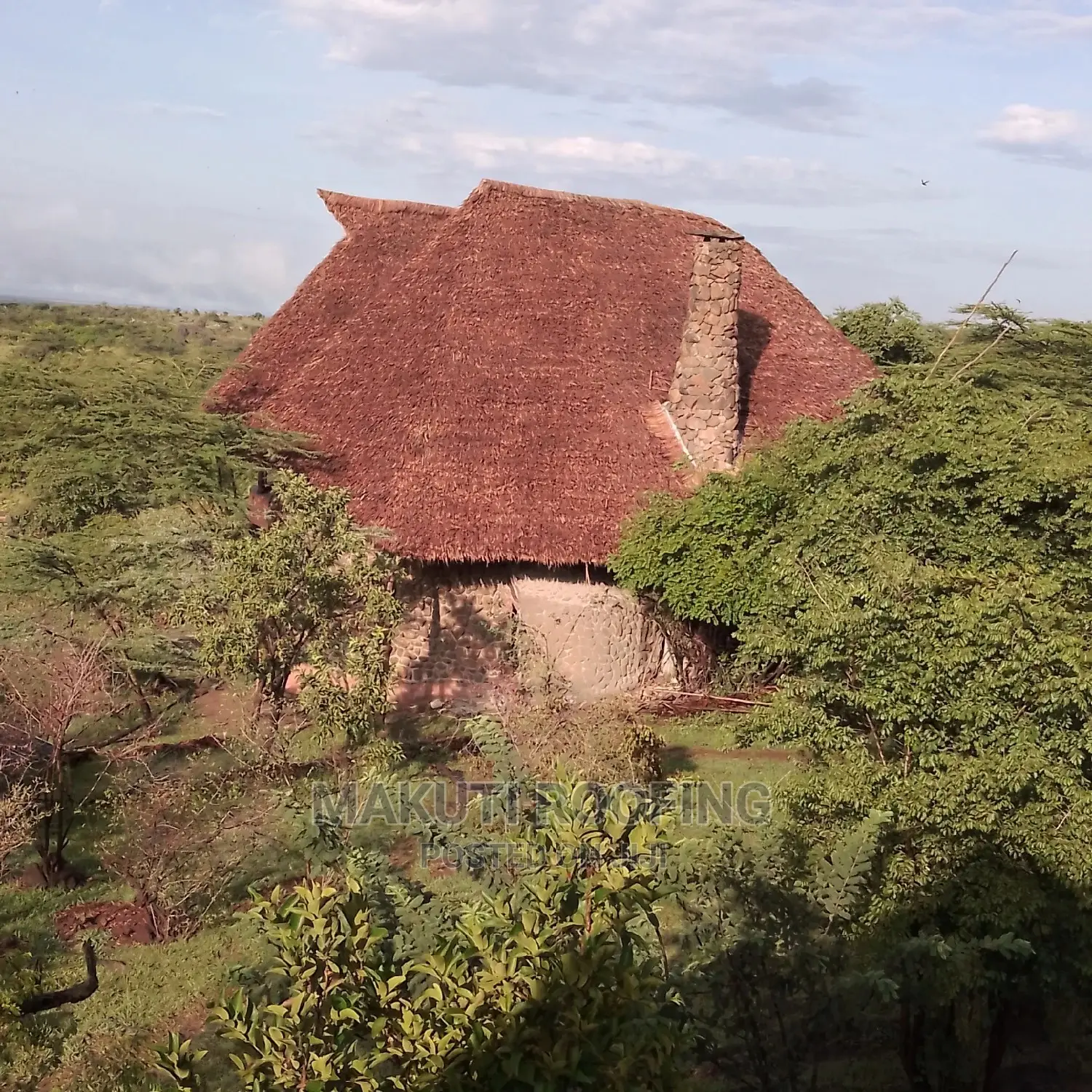 Makuti Roofing Experts, Unique Shades and Professional Roof