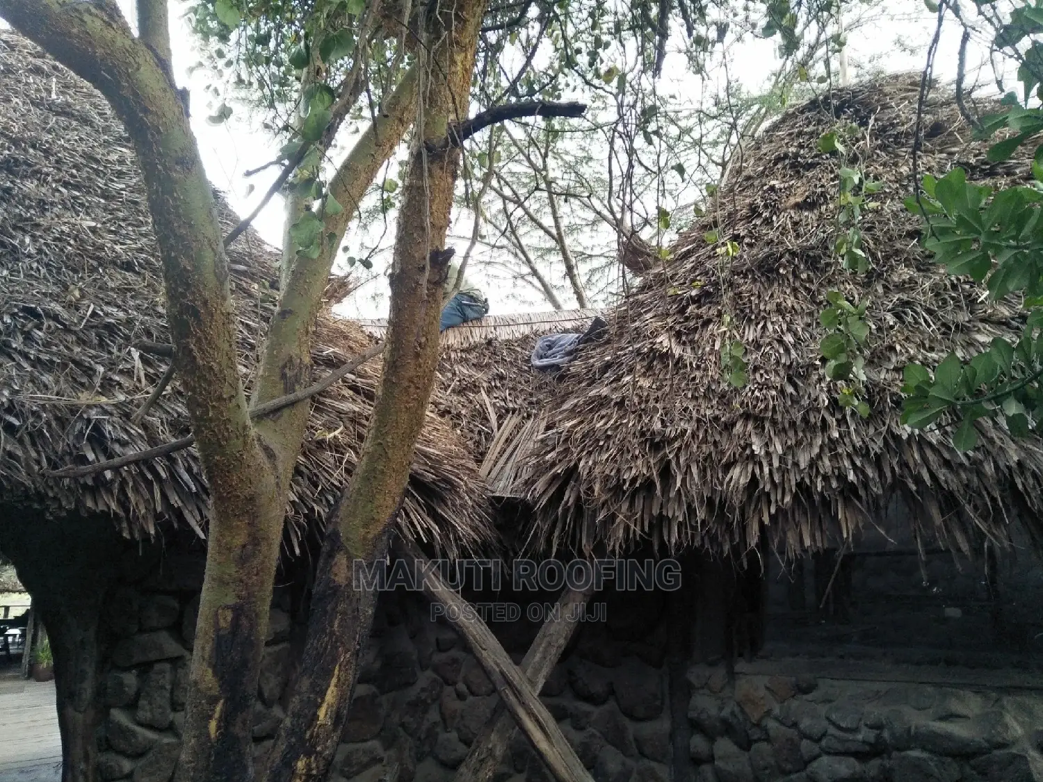 Home Makuti Gazebos, Unique Gazebos