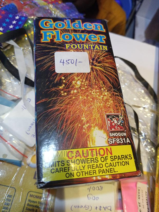 Flower Fireworks - main view