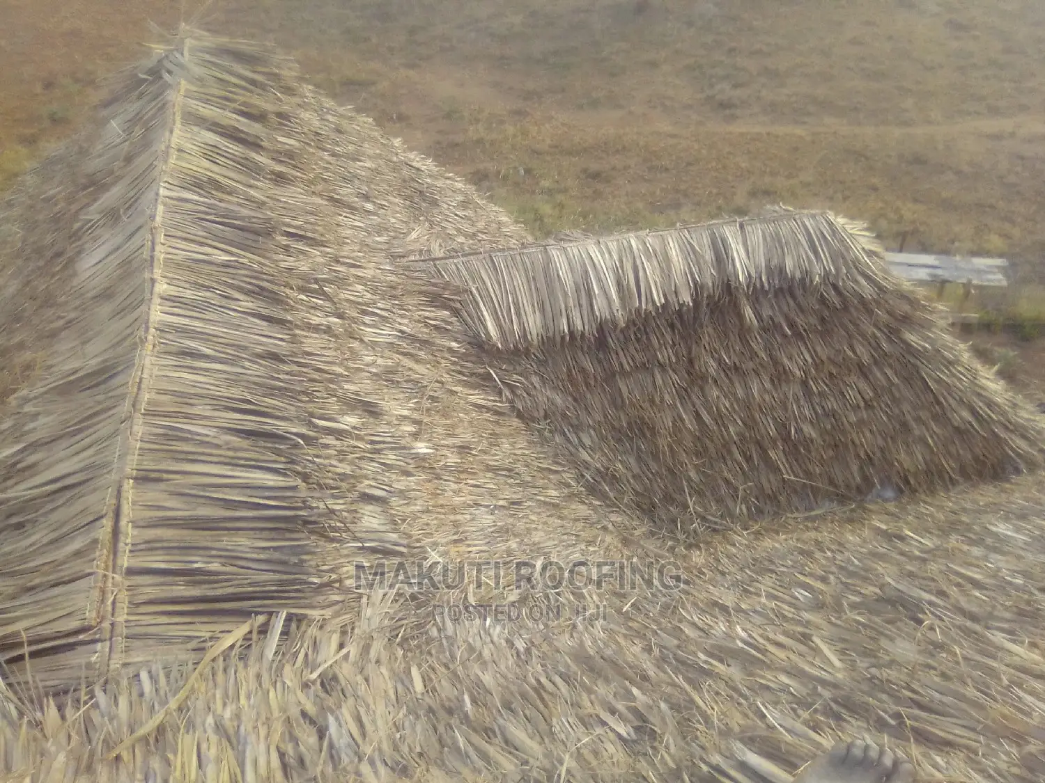 Makuti and Makonge for Sale, Best for Makuti Roofing